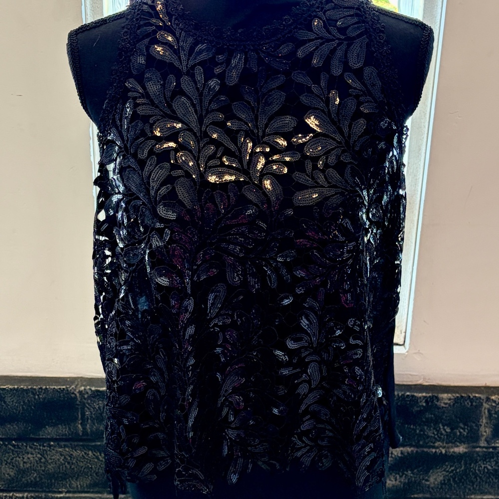 Black Sheer and Sequin Exquisite Top size small